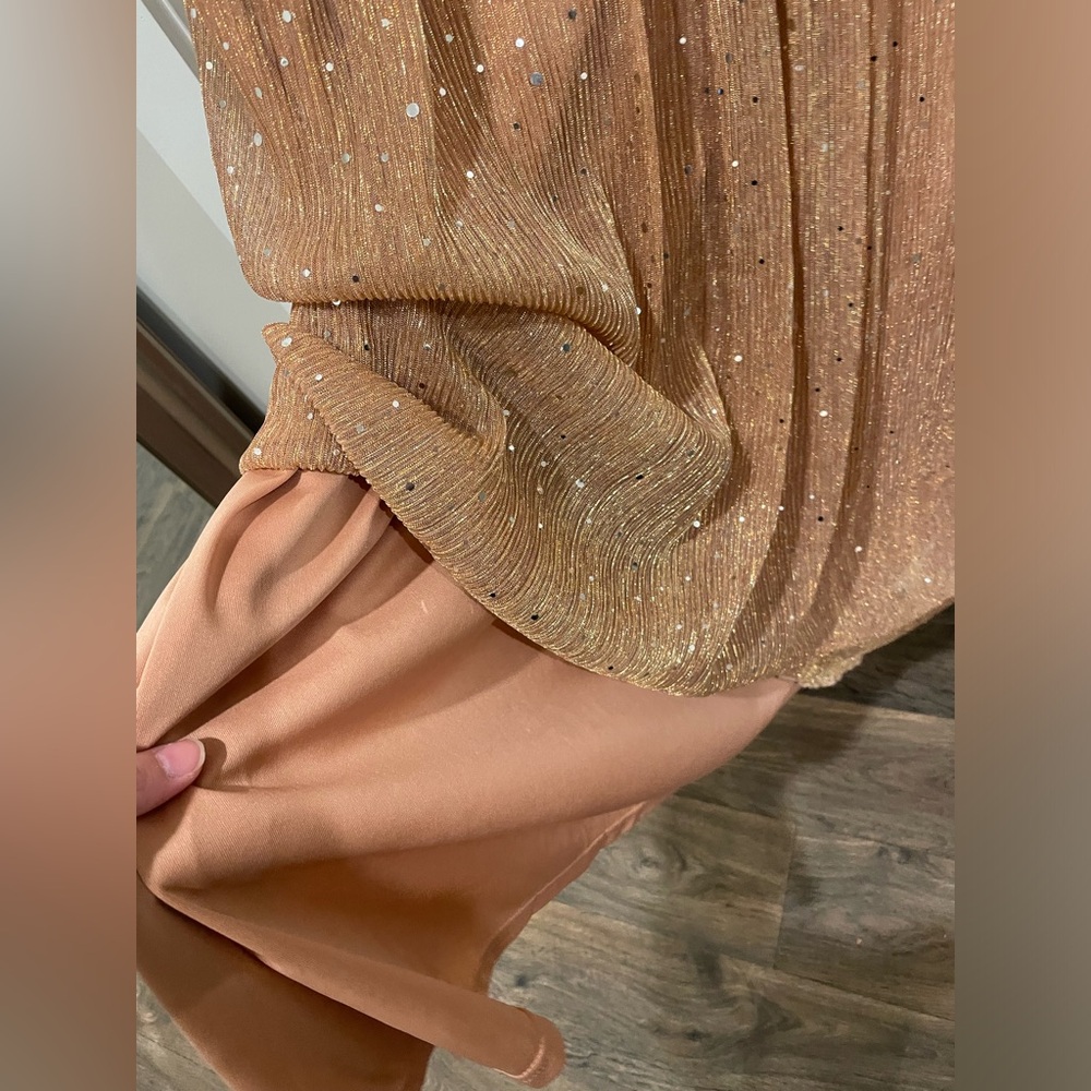 Rose Gold Shimmer Evening Gown- Size XXL - Picture 4 of 12
